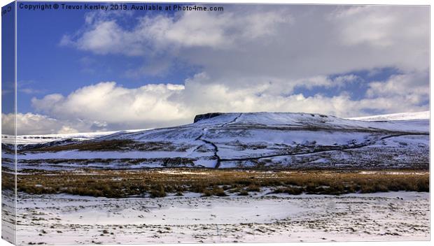 The Dales in Winter Canvas Print by Trevor Kersley RIP