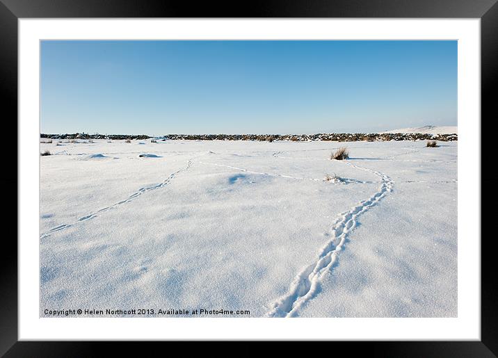 Tracks in the Snow Framed Mounted Print by Helen Northcott