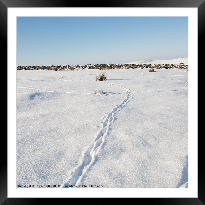 Snow Tracks Framed Mounted Print by Helen Northcott