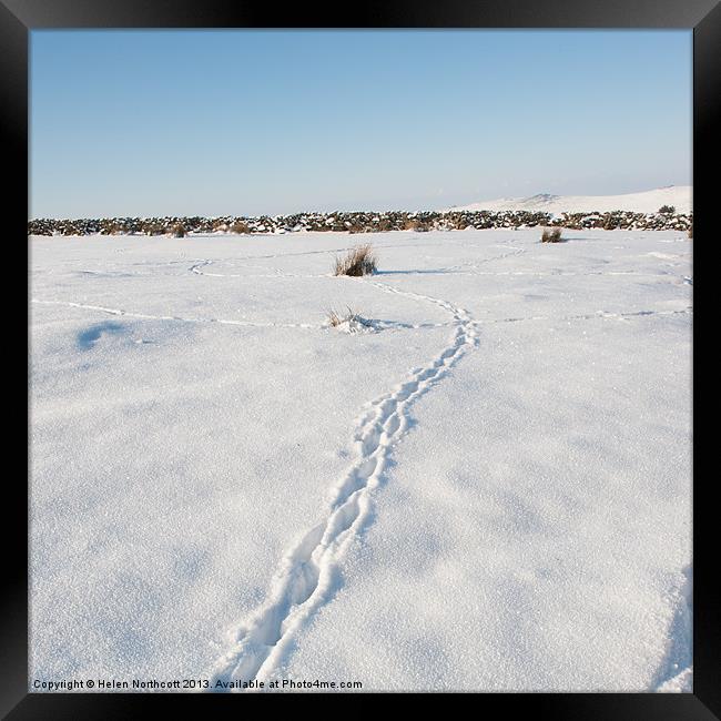 Snow Tracks Framed Print by Helen Northcott