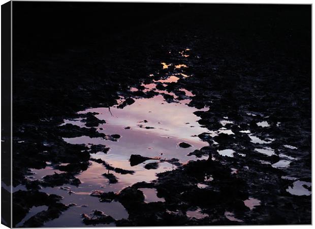 reflective mud puddle Canvas Print by Seth jones