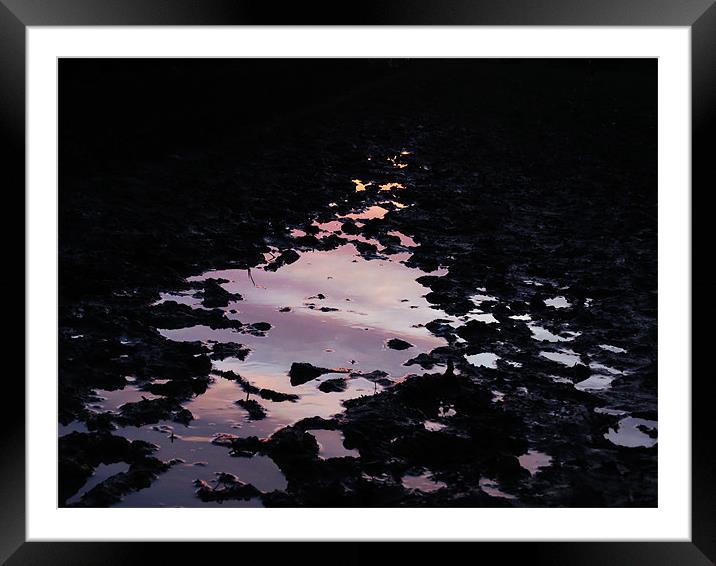 reflective mud puddle Framed Mounted Print by Seth jones