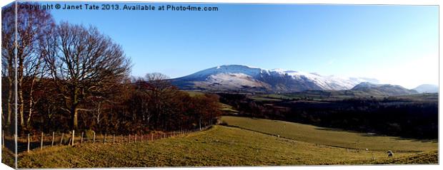 Skiddaw Cumbria Lake District Canvas Print by Janet Tate