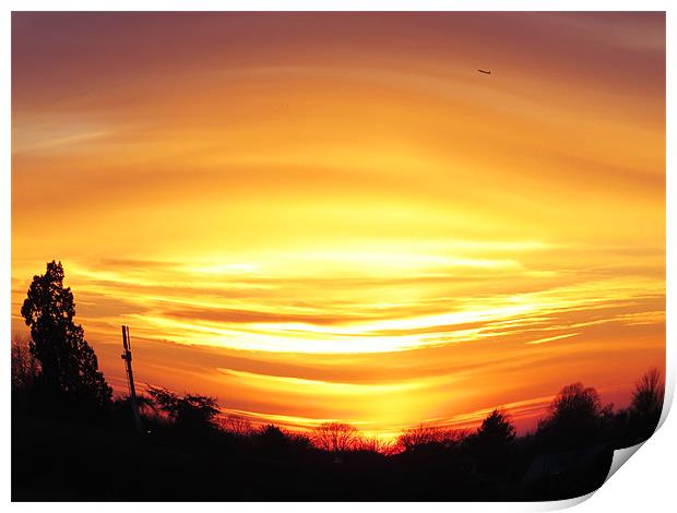 Fish eye in the sky Print by Seth jones