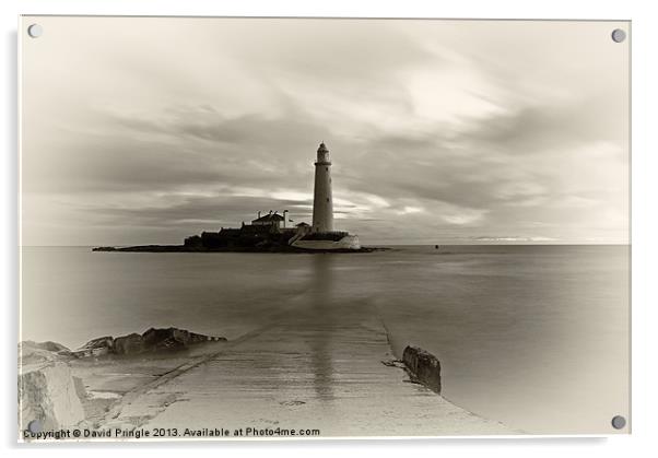 St. Marys Lighthouse Acrylic by David Pringle