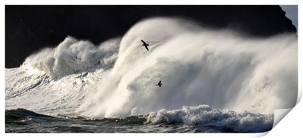 Wave Power Print by barbara walsh