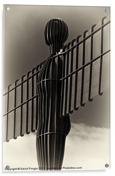 Angel of the North Acrylic by David Pringle