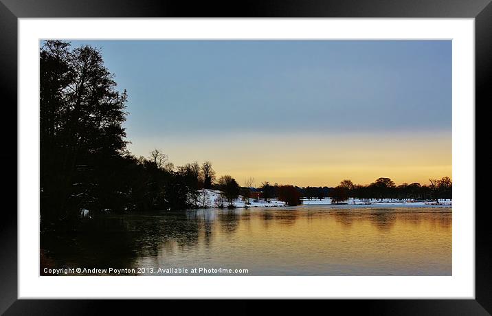 Himley Park Lake Framed Mounted Print by Andrew Poynton