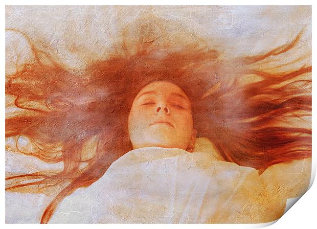 Sleep to Dream Print by Dawn Cox