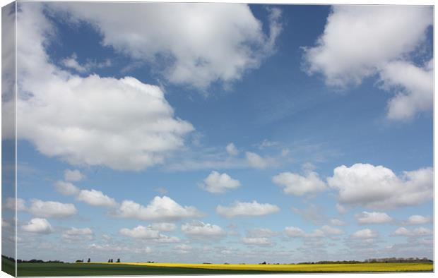 Cloudy Norfolk Skyline Canvas Print by Louise Wilson