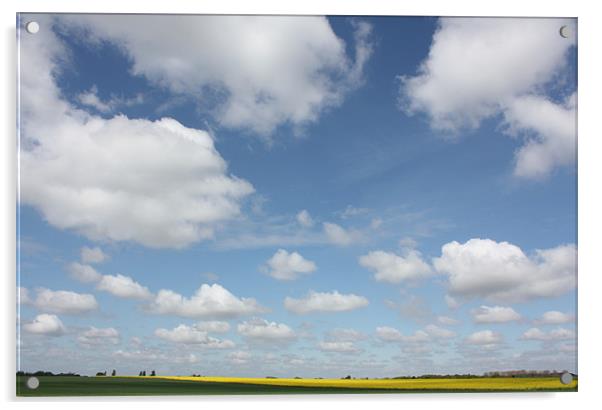 Cloudy Norfolk Skyline Acrylic by Louise Wilson