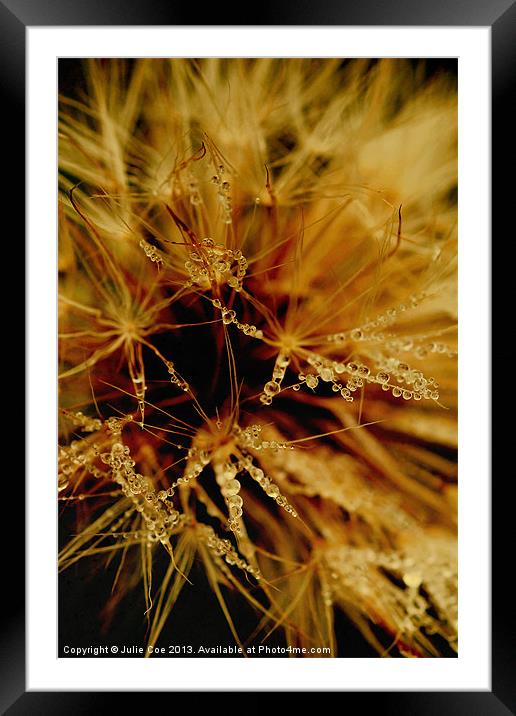 Its Dand Close Framed Mounted Print by Julie Coe