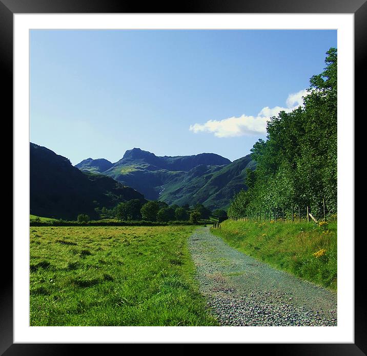 langdale path Framed Mounted Print by eric carpenter