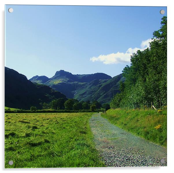 langdale path Acrylic by eric carpenter