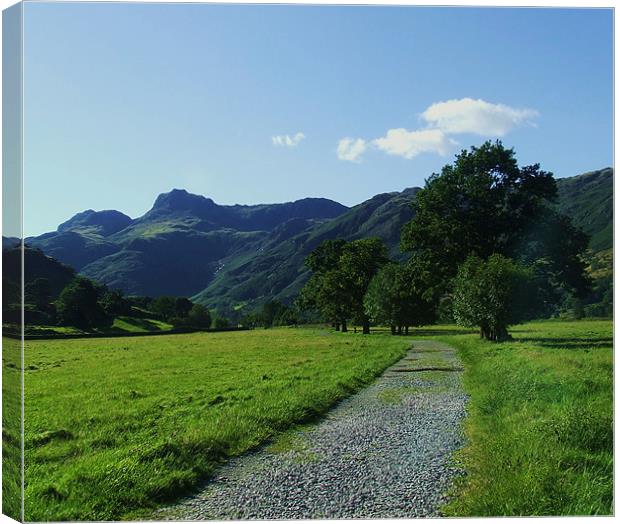 path to langdale pikes Canvas Print by eric carpenter
