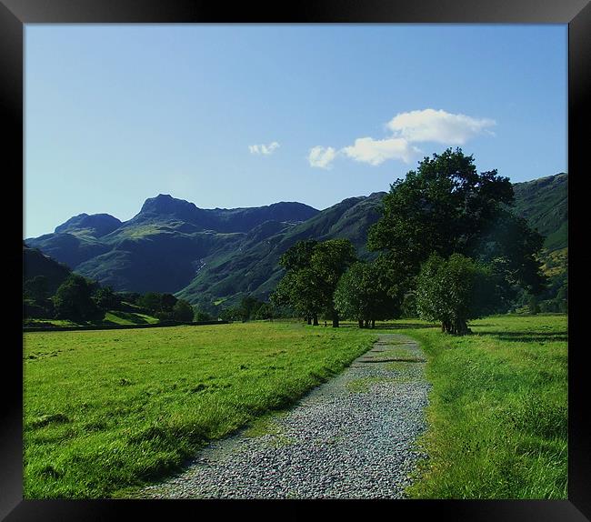 path to langdale pikes Framed Print by eric carpenter