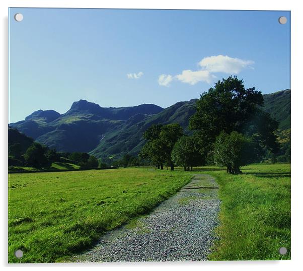 path to langdale pikes Acrylic by eric carpenter