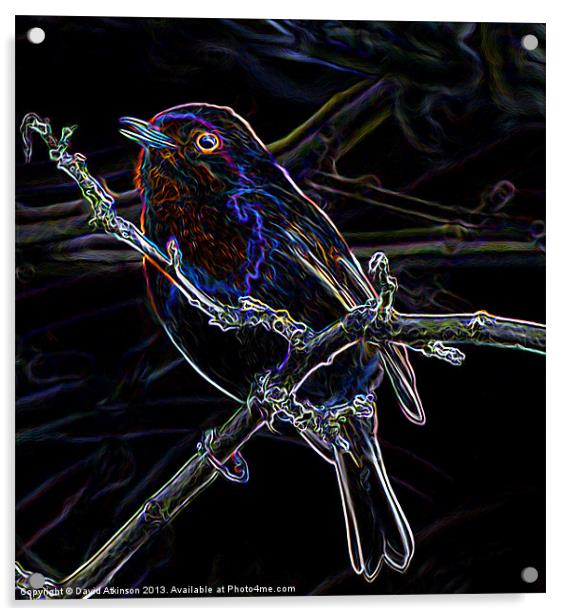 GLOWING EDGE BIRD Acrylic by David Atkinson