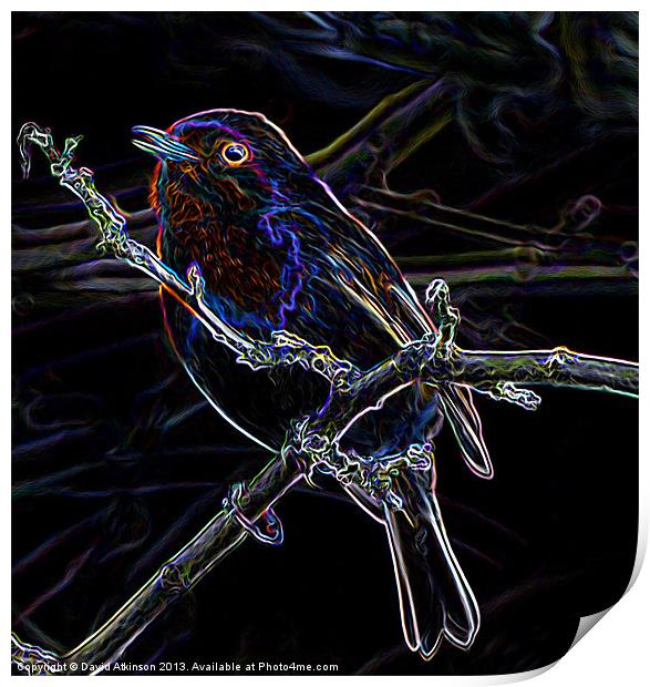 GLOWING EDGE BIRD Print by David Atkinson