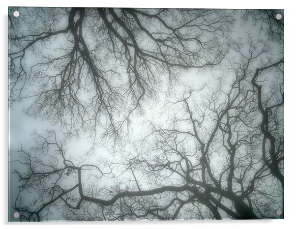 blue mist and trees Acrylic by Heather Newton