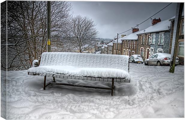 The Cold Seat Canvas Print by Steve Purnell