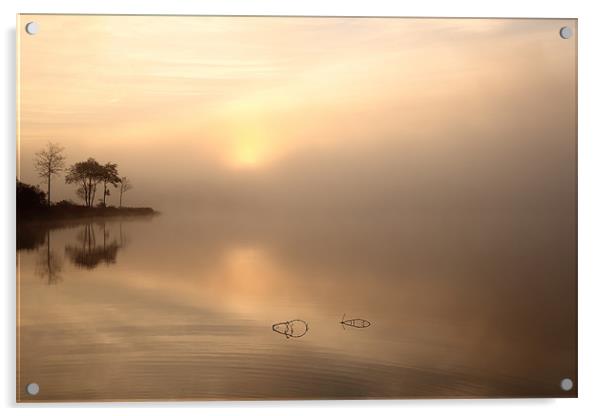 Loch Ard in Mist Acrylic by Maria Gaellman