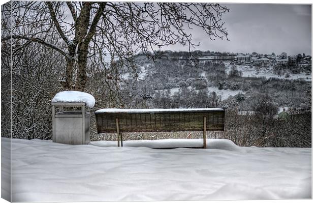 Cold Seat with a View Canvas Print by Steve Purnell