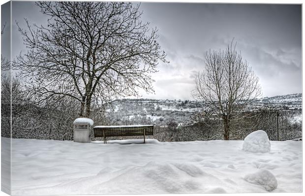 Cold Seat with a View 2 Canvas Print by Steve Purnell