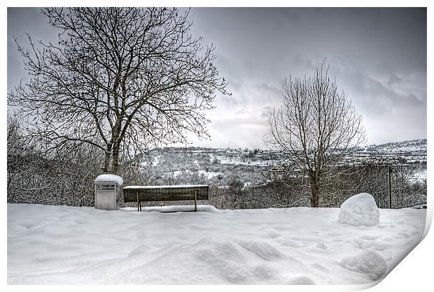 Cold Seat with a View 2 Print by Steve Purnell