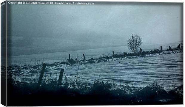 Aberdeenshire Winter Landscape Canvas Print by LIZ Alderdice