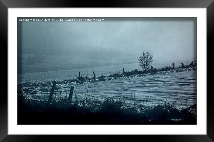 Aberdeenshire Winter Landscape Framed Mounted Print by LIZ Alderdice
