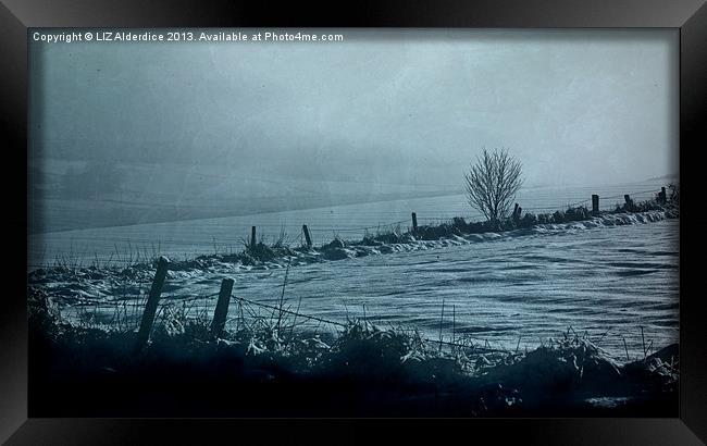 Aberdeenshire Winter Landscape Framed Print by LIZ Alderdice