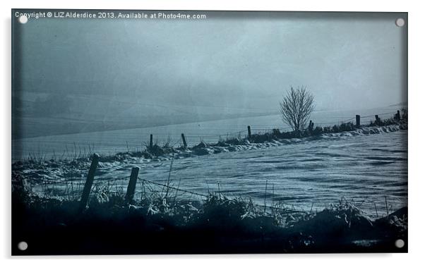 Aberdeenshire Winter Landscape Acrylic by LIZ Alderdice