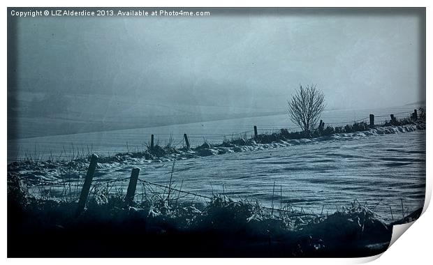 Aberdeenshire Winter Landscape Print by LIZ Alderdice