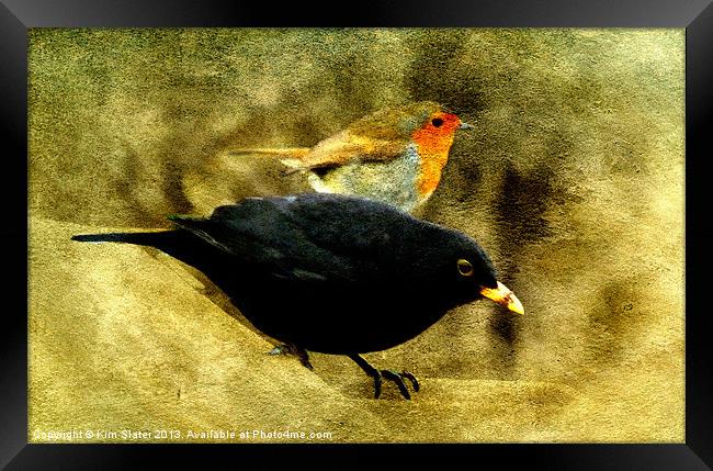 The Birds! Framed Print by Kim Slater