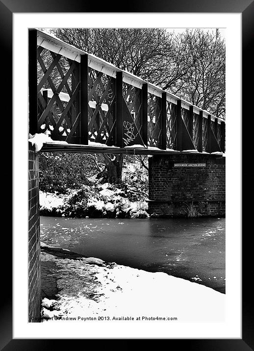 Brockmoor Junction Bridge Framed Mounted Print by Andrew Poynton