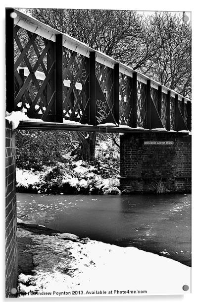Brockmoor Junction Bridge Acrylic by Andrew Poynton