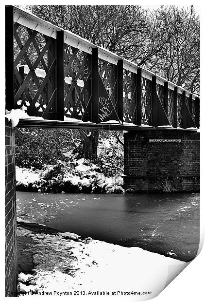 Brockmoor Junction Bridge Print by Andrew Poynton
