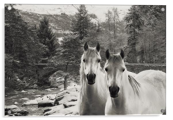 White Horses Acrylic by Sam Smith