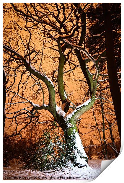 sugar coated tree. Print by Lee Daly