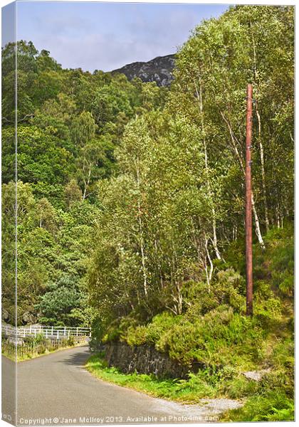 Path at Loch Katrine, Scotland Canvas Print by Jane McIlroy