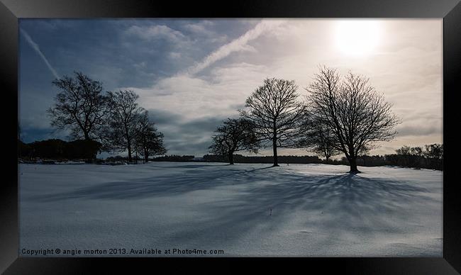 Winter Shadow Framed Print by Angie Morton