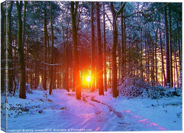 Winter Sunrise In The Forest Canvas Print by philip milner