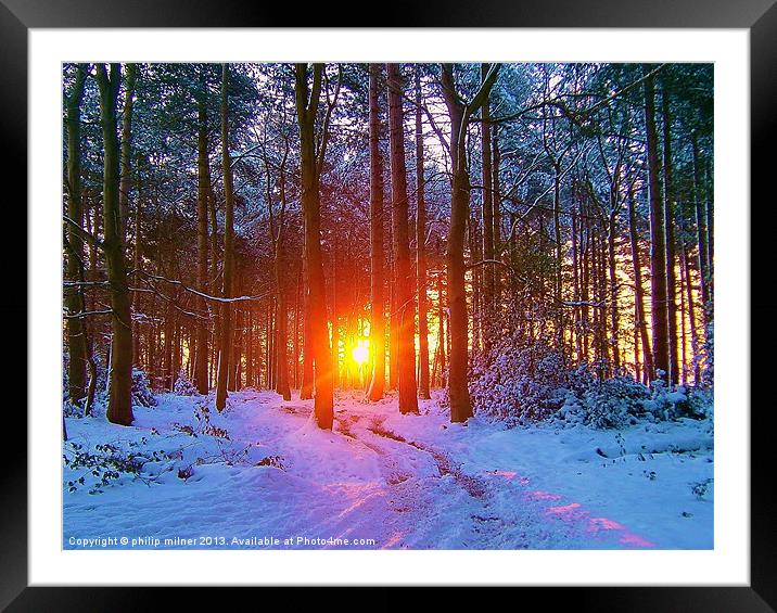Winter Sunrise In The Forest Framed Mounted Print by philip milner