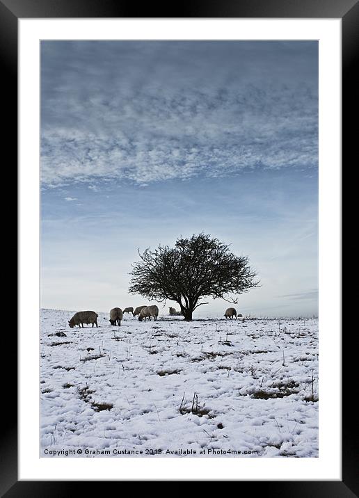Grazing Framed Mounted Print by Graham Custance