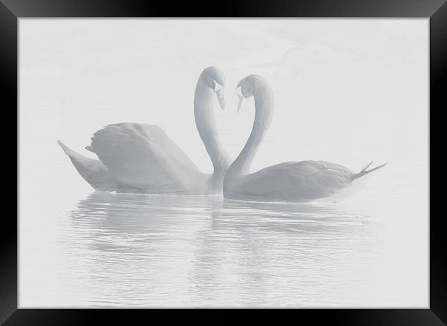 You are My Valentine Framed Print by Mike Gorton