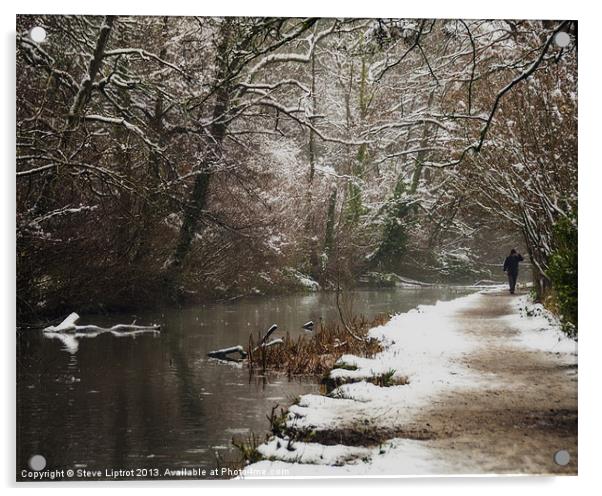 A Winters Walk Acrylic by Steve Liptrot