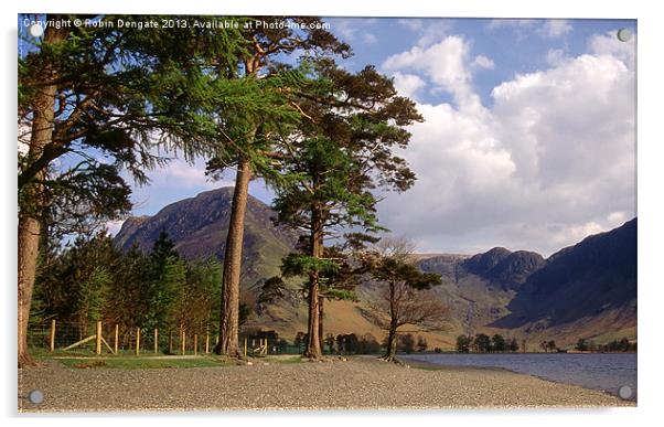 Buttermere Pines and High Crag Acrylic by Robin Dengate