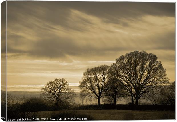 Winter Trees in Sussex Canvas Print by Allan Philip
