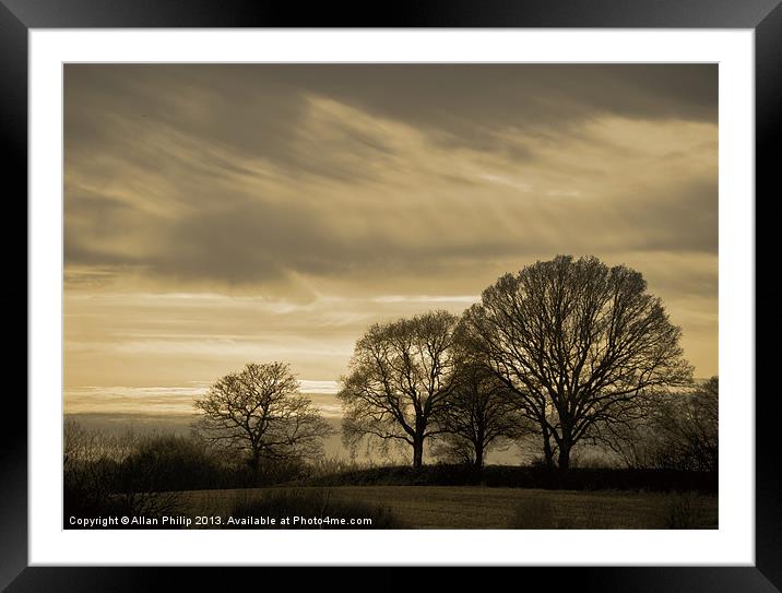 Winter Trees in Sussex Framed Mounted Print by Allan Philip